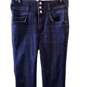 Anthropologie Jeans Womens High Rise Pilcro Skinny‎ Dark Wash Size 29 3 Button